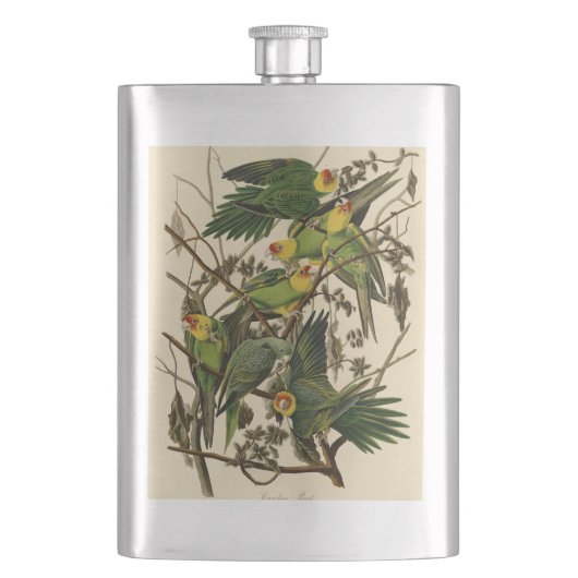 Audubon Carolina Parrot Bird illustratie Heupfles (Voorkant)
