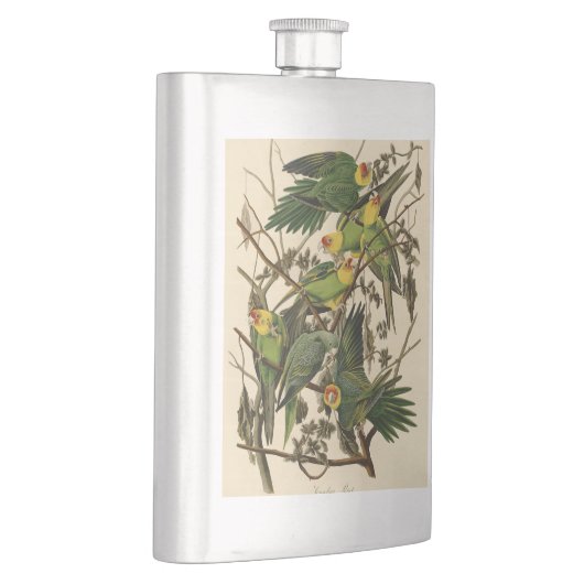 Audubon Carolina Parrot Bird illustratie Heupfles (Rechts)