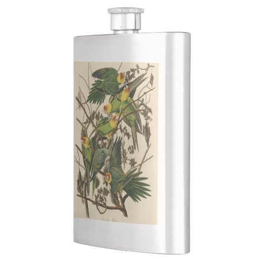 Audubon Carolina Parrot Bird illustratie Heupfles (Links)