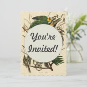 Audubon Carolina Parrot Bird illustratie Kaart (Staand voorkant)