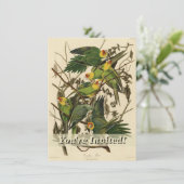 Audubon Carolina Parrot Bird illustratie Kaart (Staand voorkant)