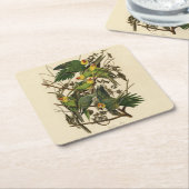Audubon Carolina Parrot Bird illustratie Kartonnen Onderzetters (Schuin)