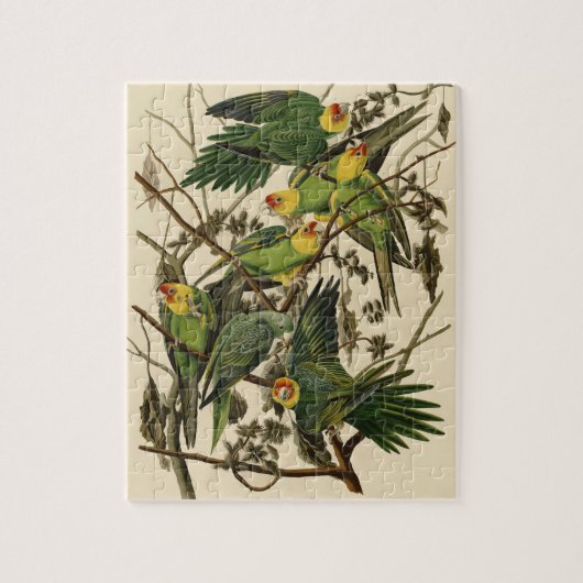 Audubon Carolina Parrot Bird illustratie Legpuzzel (Verticaal)