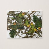 Audubon Carolina Parrot Bird illustratie Legpuzzel (Horizontaal)