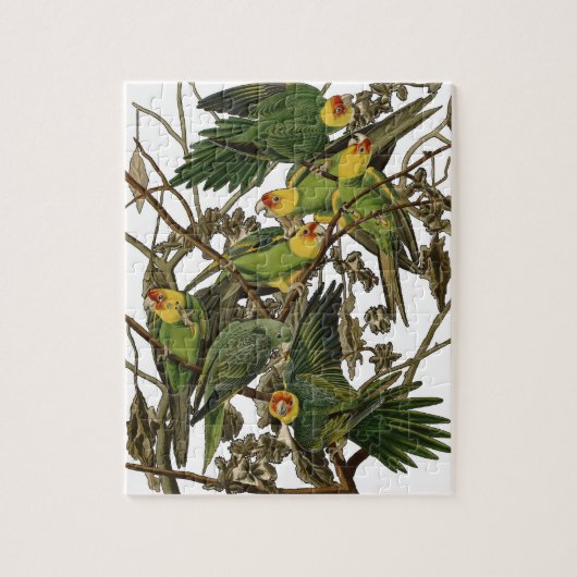 Audubon Carolina Parrot Bird illustratie Legpuzzel (Verticaal)