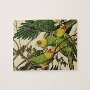 Audubon Carolina Parrot Bird illustratie Legpuzzel