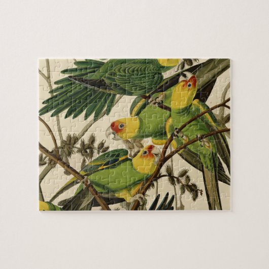Audubon Carolina Parrot Bird illustratie Legpuzzel (Horizontaal)