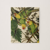 Audubon Carolina Parrot Bird illustratie Legpuzzel (Verticaal)