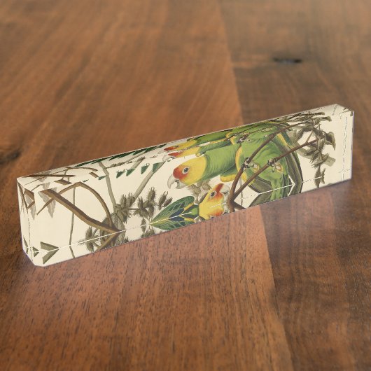 Audubon Carolina Parrot Bird illustratie Naambordje (Zijkant)