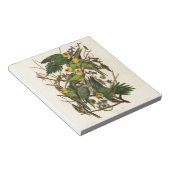 Audubon Carolina Parrot Bird illustratie Notitieblok (Schuin)