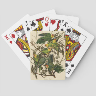 Audubon Carolina Parrot Bird illustratie Pokerkaarten