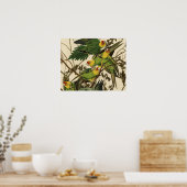Audubon Carolina Parrot Bird illustratie Poster (Keuken)