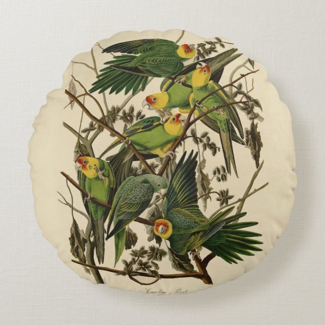 Audubon Carolina Parrot Bird illustratie Rond Kussen (Voorkant)