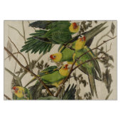 Audubon Carolina Parrot Bird illustratie Snijplank (Voorkant)