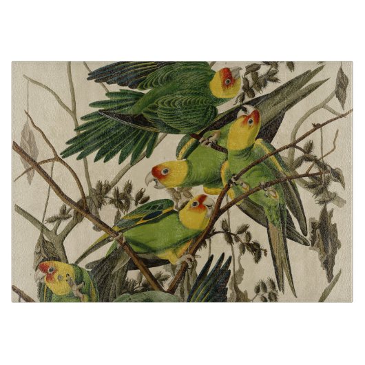Audubon Carolina Parrot Bird illustratie Snijplank (Voorkant)