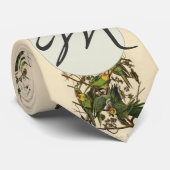 Audubon Carolina Parrot Bird illustratie Stropdas (Opgerold)