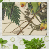 Audubon Carolina Parrot Bird illustratie Theedoek (Gevouwen)