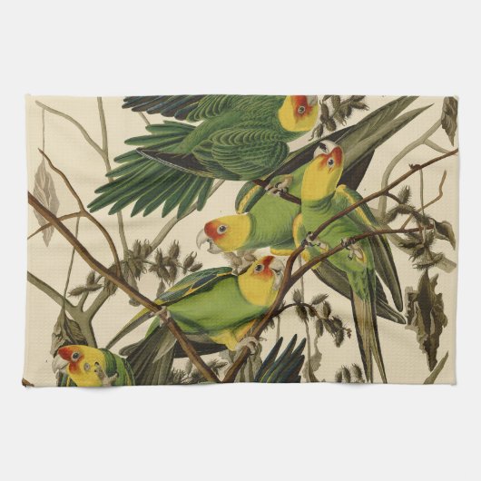 Audubon Carolina Parrot Bird illustratie Theedoek (Horizontaal)