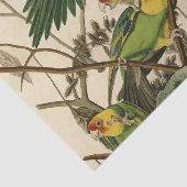 Audubon Carolina Parrot Bird illustratie Tissuepapier (Detail)