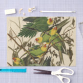 Audubon Carolina Parrot Bird illustratie Tissuepapier (Craft)