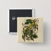 Audubon Carolina Parrot Bird illustratie Vierkante Button 5,1 Cm (Voorkant /achterkant)