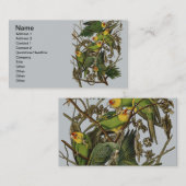 Audubon Carolina Parrot Bird illustratie Visitekaartje (Voorkant / Achterkant)