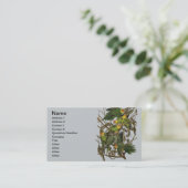 Audubon Carolina Parrot Bird illustratie Visitekaartje (Staand voorkant)