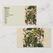 Audubon Carolina Parrot Bird illustratie Visitekaartje (Voorkant / Achterkant)