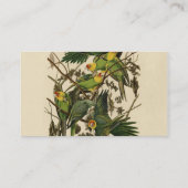 Audubon Carolina Parrot Bird illustratie Visitekaartje (Achterkant)