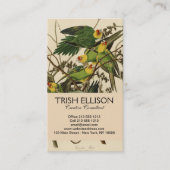 Audubon Carolina Parrot Bird illustratie Visitekaartje (Voorkant)