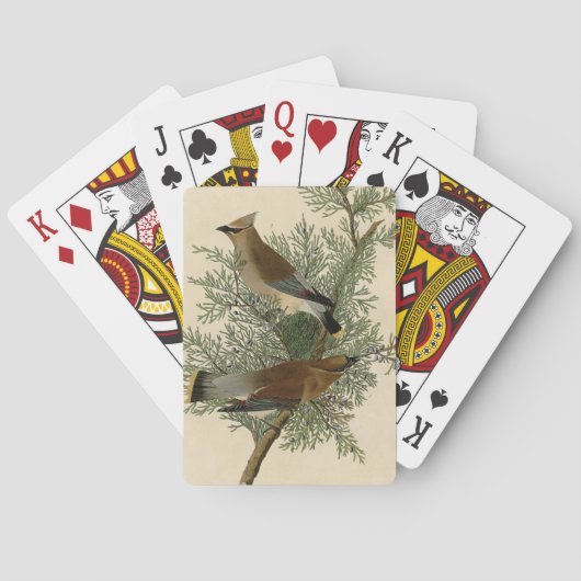 Audubon Cedar Pijlstormvogel Speelkaarten (Achterkant)