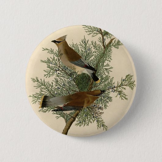 Audubon Cedar Waxing Ronde Button 5,7 Cm (Voorkant)