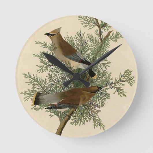 Audubon Cedar Waxing Ronde Klok (Voorkant)
