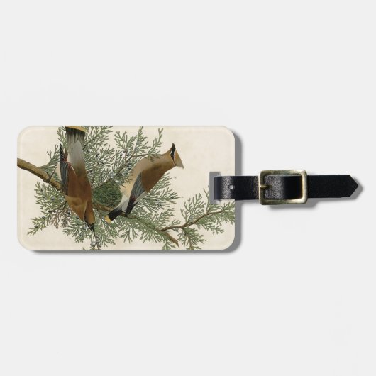 Audubon Cedar Waxwing Bird Bagagelabel (Voorkant horizontaal)