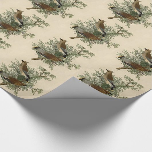 Audubon Cedar Waxwing Bird Cadeaupapier (Hoek)
