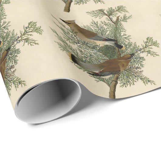 Audubon Cedar Waxwing Bird Cadeaupapier (Rol Hoek)