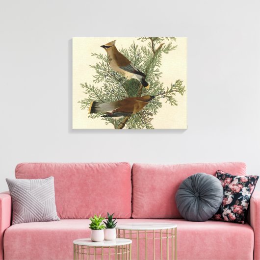 Audubon Cedar Waxwing Bird Canvas Afdruk (Insitu (Woonkamer))