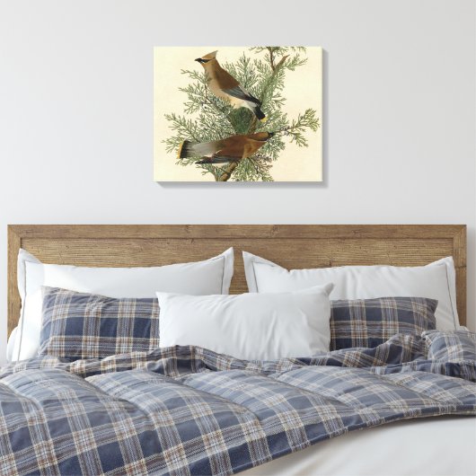 Audubon Cedar Waxwing Bird Canvas Afdruk (Insitu (Slaapkamer))