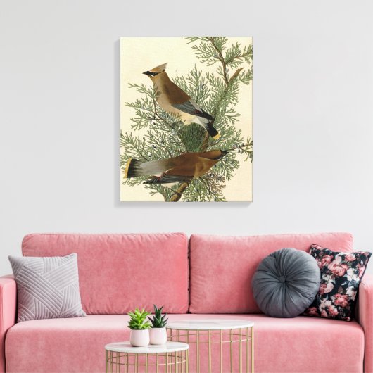 Audubon Cedar Waxwing Bird Canvas Afdruk (Insitu (Woonkamer))