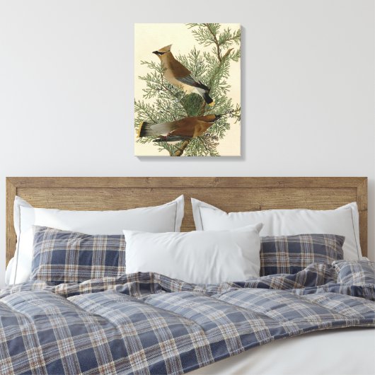 Audubon Cedar Waxwing Bird Canvas Afdruk (Insitu (Slaapkamer))