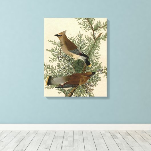 Audubon Cedar Waxwing Bird Canvas Afdruk (Insitu (Houten vloer))