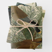 Audubon Cedar Waxwing Bird Inpakpapier Vel (In situ)