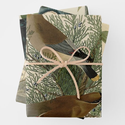 Audubon Cedar Waxwing Bird Inpakpapier Vel (In situ)