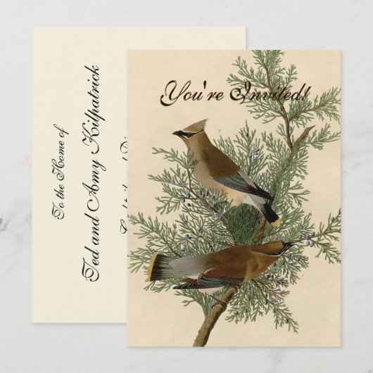 Audubon Cedar Waxwing Bird Kaart (Voorkant / Achterkant)