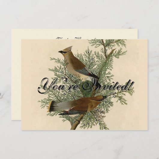 Audubon Cedar Waxwing Bird Kaart (Voorkant / Achterkant)