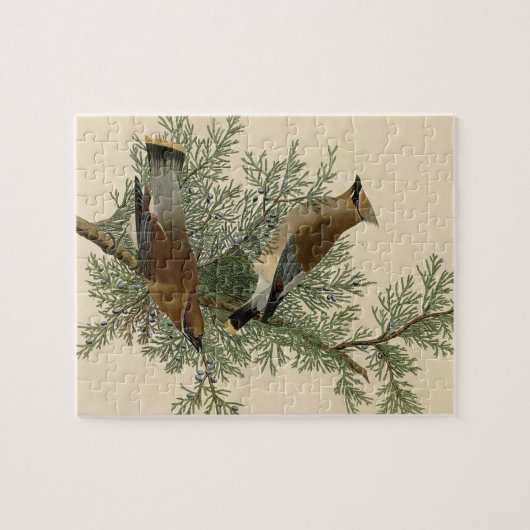 Audubon Cedar Waxwing Bird Legpuzzel (Horizontaal)
