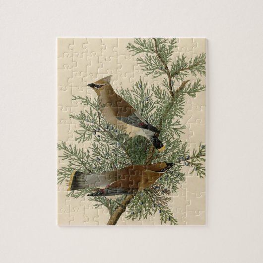 Audubon Cedar Waxwing Bird Legpuzzel (Verticaal)