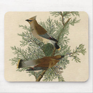 Audubon Cedar Waxwing Bird Muismat