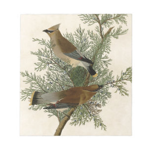 Audubon Cedar Waxwing Bird Notitieblok