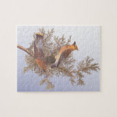 Audubon Cedar Waxwing Bird op Evergreen Juniper Legpuzzel (Horizontaal)